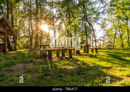 View of a resting place in the forest illuminated by the setting sun whose rays shine through the trees. Stock Photo