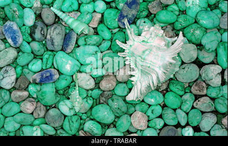 Pebble Stones on the Beach with Branched Murex Shell in Mint Green Color Tone Stock Photo