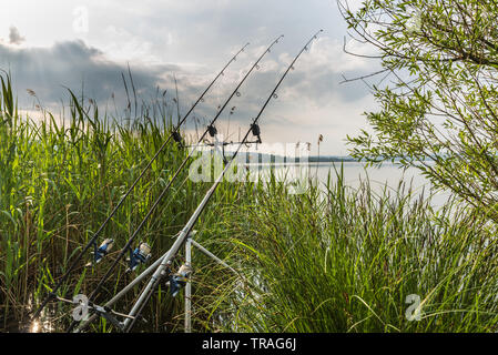 Fishing adventures, carp fishing. Modern equipment for sport fishing Stock Photo