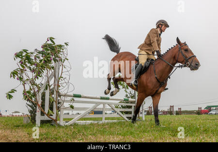 Belgooly, Cork, Ireland. 01st June, 2019. Maura Crowley from Castleisland with her Irish Sport Horse LVS Casper clearing a jump during competition at the annual agricultural show that was held in Belgooly, Co. Cork, Ireland Stock Photo
