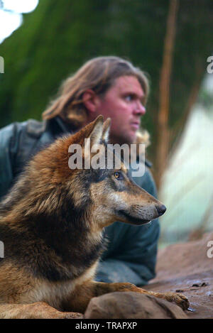 08.12.2004 - Shaun Ellis Wolfpack Management at Coombe Martin Wildlife Park in North Devon, England. Stock Photo