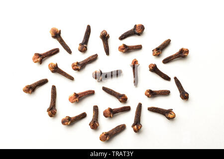 clove isolated on white background Stock Photo