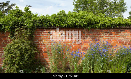 Walled garden, bright sun Stock Photo