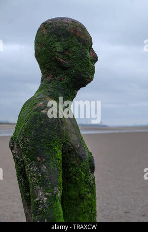 Antony Gormley Another Place art installation, Crosby Beach, Liverpool Stock Photo