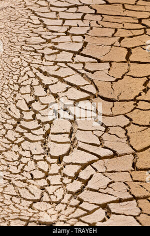 Parched earth in a dried out lake bed Stock Photo