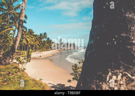 Tropical Beach Landscape in Ilheus, Bahia Stock Photo