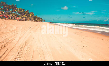 Leading sand tracks tyre trail on a beach in Conde,Paraiba, Brazil Stock Photo