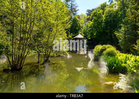 Parc Leonardo da Vinci of Clos Luce, amboise, Indre-et-Loire Departement, Centre-Val de Loire, France, Europe Stock Photo