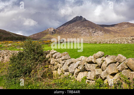 Northern Ireland, Co Down, High Mournes, dry stone wall lined lane and Slieve Binnian Stock Photo