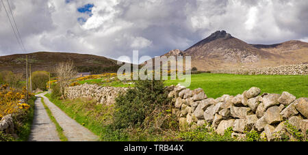 Northern Ireland, Co Down, High Mournes, dry stone wall lined lane and Slieve Binnian, panoramic Stock Photo