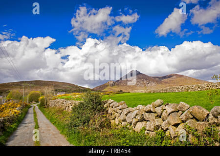 Northern Ireland, Co Down, High Mournes, dry stone wall lined lane and Slieve Binnian Stock Photo