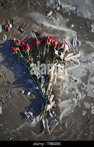Roses washed up on the beach Stock Photo - Alamy