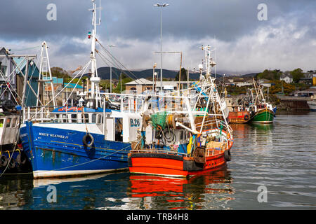 Northern Ireland, Co Down, Kilkeel, Harbour, working fishing boats moored at quayside Stock Photo