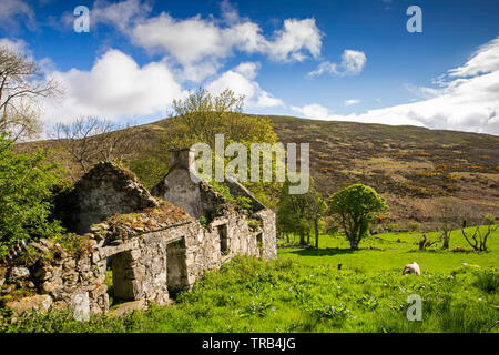 Northern Ireland, Co Down, Low Mournes, Killeaghan, abandoned rural cottage Stock Photo