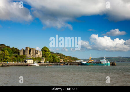 Ireland, Co Louth, Cooley Peninsula, Carlingford, St John’s Castle, medieval ruin above the harbour Stock Photo