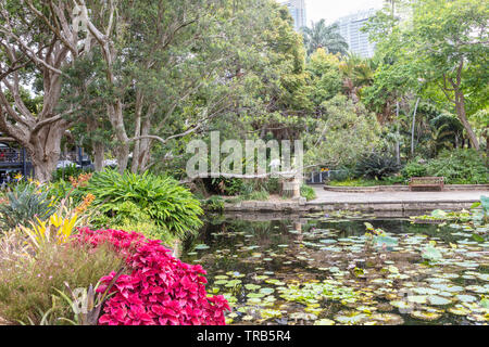Exotic park scene with small lake and flame red foliage of coleus shrub in foreground. Stock Photo