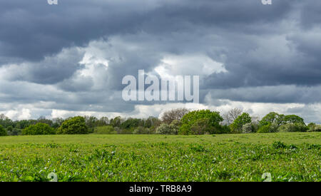 Traditional English countryside under gloomy threatening clouds at Reddish Vale, Stockport, Cheshire, UK. Stock Photo