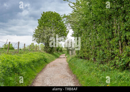 Path through traditional English countryside under gloomy threatening clouds at Reddish Vale, Stockport, Cheshire, UK. Stock Photo