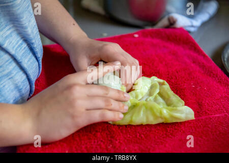 Preparing stuffed cabbage with rice Stock Photo
