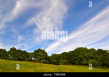 Cirrus clouds driven by jetstream high above Fackenden Down SSSI, Shoreham, Kent, near Otford, in the Darent Valley. June 2019 Stock Photo