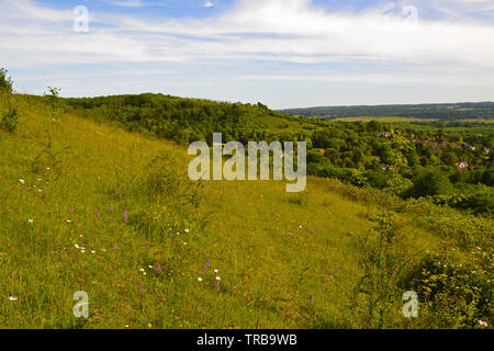 The chalk hillside with wildflowers at Fackenden Down SSSI looking towards Otford and Sevenoaks in early June. Darent Valley Stock Photo