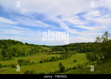 A view towards Magpie Bottom over rewilded former Austin Lodge golf course. Picture taken from Austin Spring. Near Shoreham, Kent, England, in June Stock Photo