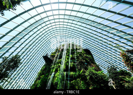 The Highest Artificial Waterfall in the World at the Cloud Forest, Gardens by the Bay, Singapore Stock Photo