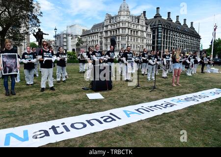 London, UK. 2nd June, 2019. Animal rights activists and supporters meet in Victoria Tower Gardens, before making a Silent march to Parliament Square for a static display of frozen dead animals. Quan Van/Alamy Live News Stock Photo