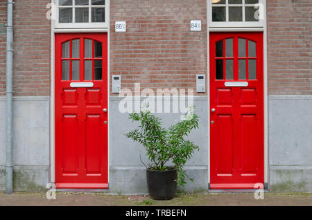 two red doors on the facade of the house. Big street flowerpot with green plant. Amsterdam Oost. East side neighborhoods. Stock Photo