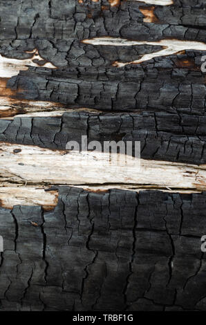 Background, black charred timber, coal after fire, abstract and in cracks of charcoal. Stock Photo