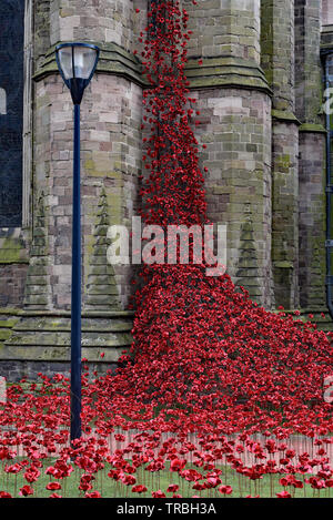 Iconic poppy sculpture 'Weeping Window' (2018) by artist Paul Cummins and designer Tom Piper, Hereford Cathedral, Herefordshire, England, UK, Europe. Stock Photo