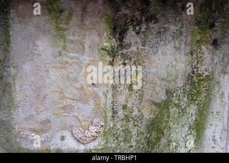 Mossy Textured Weathered Concrete Wall Stock Photo