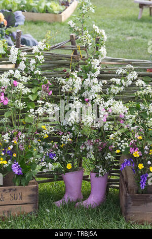 wellington boots with flowers growing in them in a kitchen garden Stock ...