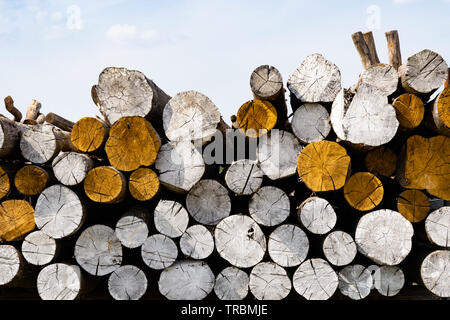 Pile of wooden logs painted white and yellow