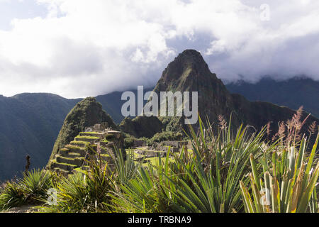 Machu Picchu Peru - the Huayna Picchu Mountain is the landmark peak at Machu Picchu citadel in Peru, South America. Stock Photo