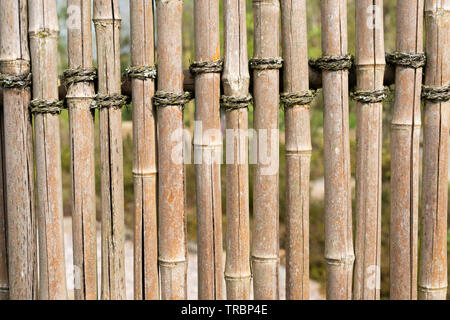 Weathered vintage bamboo fence patterned background Stock Photo