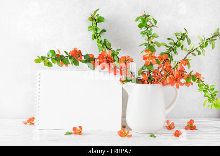 blank greeting card with a beautiful spring orange japanese quince flowers on white table. mock up. holiday or wedding background Stock Photo