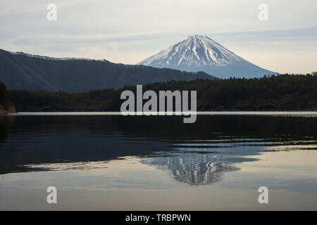 Mount Fuji reflected on Lake Saiko, Japan Stock Photo