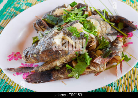 Cooked goby fish steamed with vegetable and herb on plate Stock Photo