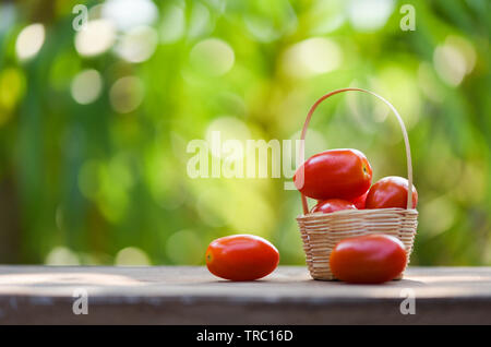 Fresh tomato berry fruit in basket on wooden and nature green background - selective focus Stock Photo