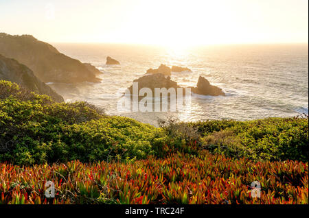 Beautiful sunset view of the Pacific Ocean from a cliffside overlook along Highway One in Big Sur, California, USA. Stock Photo