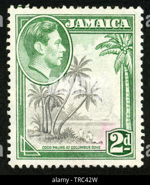 Stamp print in Jamaica,Coco palms at columbus cove Stock Photo