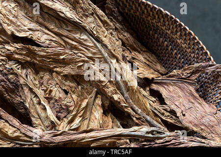 Dry tobacco leaves in the basket, close up, texture Stock Photo