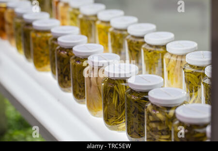 Different preserved food, pickled vegetable in jars Stock Photo