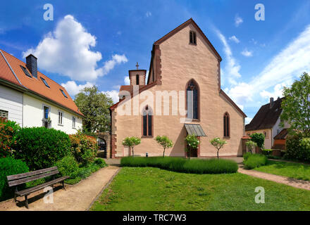 The Peterskirche, Roman Catholic parish church in the center of Gelnhausen. Stock Photo