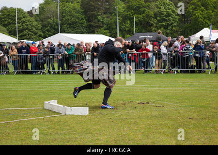 Man putting the shot at the Helensburgh and Lomond Highland Games, Argyll, Scotland Stock Photo