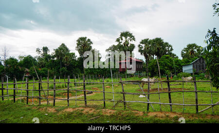 Traditional peasant wooden house and farmland with poultry and fences, in the jungle of Cambodia countryside. Stock Photo