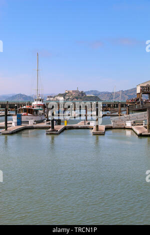 Sea Lions at the docks of Pier 39 Stock Photo - Alamy