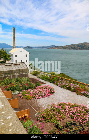 Quartermaster & Rose Garden at Alcatraz with Angel Island in the background, San Francisco Bay, California Stock Photo