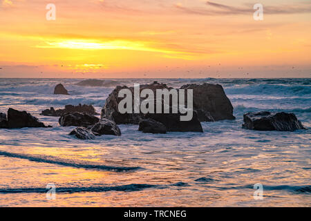 Big Sur, California - Beautiful sunset on a California beach with large waves crashing over rocks and a flock birds flying in the distance.